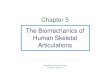 Chapter 5 The Biomechanics of Human Skeletal …tdemir.etu.edu.tr/MAK 460_dosyalar/Chapter 5.pdfJoint Architecture Classification of Joints: • amphiarthroses: (slightly moveable)