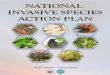NATIONAL INVASIVE SPECIES ACTION PLAN · Invasive Species: Invasive species are species introduced into an area in which they do not occur naturally, usually as a result of human