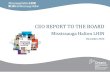 CEO REPORT TO THE BOARD - Mississauga Halton LHIN · Board Quality Report (Balanced Scorecard) 17. NOTABLE SECTOR ENGAGEMENT 18 . ... The levels range from intensive hospital based