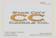 Table of Contents - FBLA-PBL · 2 Star City Candle Co. 214 Prospect Avenue W Velva, ND 58790 (701) 822-3904 Executive Summary Star City Candle Co. will be established as a sole proprietorship