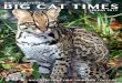Jamie Veronica - Big Cat Rescue · Big Cat Rescue, one of the world’s most effective accredited sanctuaries for exotic cats, is a leading advocate in ending the abuse of captive