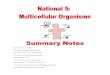 UNIT 3 TOPIC 1 · UNIT 3 TOPIC 1 1. Cells, Tissues and Organs 1.1 Multicellular Organisms Cells and Specialisation A Multicellular organism is an organism that consists of more than