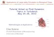 Tutorial School on Fluid Dynamics: Topics in Turbulence ......- Direct numerical simulation of the fluid structure interaction problem (solution of NS equations, Newtonian fluid, incompressible