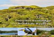 Toucan Ecolodge Wildlife Reserve · 2019. 11. 27. · Costa Rica Toucan Ecolodge Wildlife Reserve & ... A zoologist-birder-photographer guide couple with 20+ years experience The