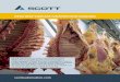 DEXA BEEF CARCASS COMPOSITION GRADING - SCOTT - … · 2019. 6. 3. · Carcass composition measurement enables more accurate processor pricing decisions, and support boning schedules