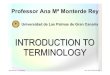 Universidad de Las Palmas de Gran Canariaterminol.ulpgc.es/Introduction to Terminology.pdf · Introduction to Terminology Prof. Ana Mª Monterde Rey PRESENTATION INDEX 1. Definition