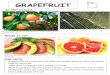 grapefruit - Washington State University · 2018. 5. 22. · Grapefruit Salad Grapefruit Storage tips: Ingredients • 2 grapefruits, cut into segments • 2 Tablespoons honey •