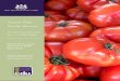 Tomato - RASNSW...gardening, a hydroponic or vertical garden ... Create an infographic to represent the main points gathered during research with reference to environmental sustainability