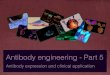 Antibody engineering Part 5 - unige.it · of antibody and antibody fragments including bacteria, yeast, plants, insect cells, and mammalian cells • Each has advantages, potential