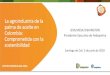 Presentación de PowerPointweb.fedepalma.org/sites/default/files/files/Diapositivas...22.948.314 ha (20,1 %) (Preliminar) Zonificación de Aptitud para el cultivo comercial de Palma