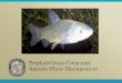 Triploid Grass Carp and Aquatic Plant Management...For 100% coverage of small ponds (