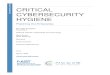 Critical Cybersecurity Hygiene: Patching the Enterprise · Project Description: Critical Cybersecurity Hygiene: Patching the Enterprise 2 The National Cybersecurity Center of Excellence