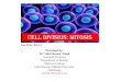 Cell Division: Mitosis · PDF file Cell division are mainly two types 1. Mitosis or equational cell division 2. Meiosis or reductional cell division Mitosis or equational cell division