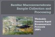 Wadeable Streams: Rapid Bioassessment (RBP) ... Benthic Macroinvertebrates: Invertebrate organisms that are large enough to be seen by the unaided eye, can be retained by a US Standard