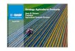 Strategy Agricultural Products - BASF · 2018. 10. 3. · Agricultural Products Division Performs 2005 Outlook Agrochemical market: After 4.7% market growth in 2004, we expect the