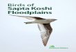 Birds of Koshi (2016) of Koshi edited.pdf · Order/Family/English Name Scientiﬁ c Name Status Ref. GALLIFORMES Phasianidae Black Francolin Francolinus francolinus br, 3 Grey Francolin
