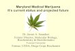 Maryland Medical Marijuana · Maryland Medical Marijuana It’s current status and projected future Dr. James A. Saunders ... wear off within two-three hours Marijuana's Impact on