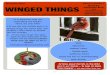 December 2013 Volume 2, Number 2 , WINGED THINGS …€¦ · other winged things Volume 2, Number 2 , WINGED THINGS For New Mexico - and Everywhere Else!. With EBCravens Kashmir Csaky