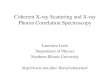 Coherent X-ray Scattering and X-ray Photon Correlation … · 2017. 3. 13. · For coherent x-rays one measures the Fourier transform of the exact density distribution, not the average