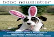 membership fees update | disc dog report · 2019. 4. 19. · Geoff Tracey Katherine Waterhouse Agility Rep Lisa Borthwick agility@bdoc.asn.au Canine Companion Rep Lyndal Hasselman