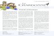 LE CHARDONNET · 2020. 1. 2. · Le Chardonnet n° 353 - décembre 2019 3 Dossier : St Vincent de Paul et les œuvres de charité nous aimait, c’est là aussi qu’il s’est penché