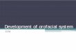 Development of orofacial system - TOP Recommended Websites · 2013. 1. 9. · Development of orofacial system • Most of the organs of gastrointestinal system develop from endoderm