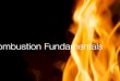 Combustion - ETHOSethoscon.com/pdf/ETHOS/ETHOS2011/Bryden_Combustion.pdfCombustion.ppt Author: Angie Teig Created Date: 4/6/2011 4:41:57 PM 