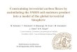 Constraining terrestrial carbon fluxes by assimilating the ... SC2016 - 29 … · Constraining terrestrial carbon fluxes by assimilating the SMOS soil moisture product into a model