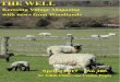 New Kemsing Village Magazine with news from Woodlands · 2019. 2. 4. · CONTENTS - The Well, Spring 2017 No 205 Easter Services 3 Vicar’s letter 4 Church Services 5 Woodlands News