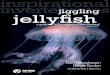 hsejljellyshleseeseseesesslssy isiatioal ietebatesjiggling ... · Diana Macpherson Dennis Gordon with Michelle Kelly & Blayne Herr Version 1, 2019 jiggling a guide to the jellyfish