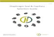 Jan 2016 Diaphragm Seal & Capillary Selection Guide - Haygorhaygor.com/.../2016/02/Haygor-Diaphragm-Seal-Ordering-Guide-1_20… · Diaphragm Seal & Capillary Selection Guide Haygor