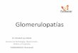 Glomerulopatíasfundanier.org.gt/wp-content/uploads/2019/05/Glomerulopatías.pdf · Glomerulopatías ¿qué son? •Glomerulopatías •Expresión clínica de las glomerulopatías