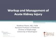Workup and Management of Acute Kidney Injury...acute kidney injury (AKI) in hospitalized patients 2. Discuss practical diagnostic evaluation for the hospitalized patient with AKI 3