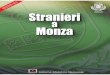 L’informazione statistica - Comune di Monza...italiana che attrae immigrati nel nostro Paese”(L’esperienza migratoria, Laterza 2003). “Il futuro demografico dell’Italia,