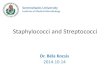 Staphylococci and Streptococci - Semmelweis Egyetem · 2015. 3. 12. · Staphylococci and Streptococci Dr. Béla Kocsis 2014.10.14 Semmelweis University Institute of Medical Microbiology