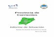 Provincia de Corrientes · 2017. 4. 20. · Corrientes 8% Fuente: Senado de la Provincia de Corrientes Tabla 7: Composición de la Cámara de Diputados Provincial Partidos Bancas