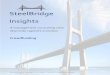 SteelBridge Insights - Crowdfunding · 2019. 9. 4. · 2"|"Page! SteelBridge!Consulting!!!!! SteelBridge!Insights! steelbridgeconsulting.com! ! ! Crowdfunding! 646S737S7960!x!1008!!