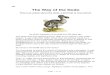 Q1. The Way of the Dodo · The Way of the Dodo This is an article about the dodo, a bird that is now extinct. An artist's impression of the dodo from 300 years ago. The dodo was first