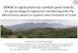 SPAGE in agriculture to combat pest insects....Emmanouil M. KABOURAKIS Ecological Production Systems Unit – Olive & Mediterranean Perennial Crops Department of Agriculture, School
