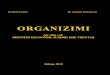 049-4 Organizacija ALB · Teoria klasike e organizimit Teoria neoklasike e organizimit Teoria bashkëkohore e organizimit ... të vijmë në përfundim se si është domethënia e