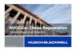 Carlos Rodriguez and Zheng Xie - Microsoft · 2018. 7. 9. · Carlos Rodriguez and Zheng Xie. U.S. NVOCC Registration in China Who needs to register? ̶NVOCC whose housebill issued
