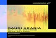 SAUDI ARABIA · 2020. 7. 23. · SAUDI ARABIA’S NATIONAL RADIO SPECTRUM STRATEGY 2025 2 AT A GLANCE Spectrum is a limited, natural and enabling resource for all radio systems vital