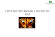 FIRST AID FOR ANIMALS IN CASE OF FIRE · •Pet carrier with the size of the animal, the animal should have air to breath and the carrier can be closed ... You have no way of knowing