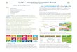 WSF World Sustainability Fund · 2016 Annual Report WSF – World ... HR KPIs, Guniz & Harold joined October – Start department unit of Country Toolkit & Brochure development, 40