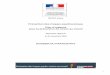 Prévention des risques psychosociaux Plan d’urgence pour la …travail-emploi.gouv.fr/IMG/pdf/Dossier_Participants... · 2010. 12. 2. · 2. Plan d’urgence pour la prévention