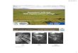 Permafrost soils and their organic carbon storageforest.akadem.ru/PerSyst/Activities/Sum_sch_pr/06-GG.pdf · 2014. 12. 3. · 25.09.2014 1 Permafrost soils and their organic carbon
