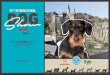 95e Exposition Canine Internationale à Luxembourg · 2017. 12. 8. · 95e Exposition Canine Internationale à Luxembourg Samedi, le 2 septembre 2017 Juge du GROUPE 1: Norman DESCHUYMERE