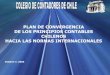 PLAN DE CONVERGENCIA DE LOS PRINCIPIOS CONTABLES … · DE LOS PRINCIPIOS CONTABLES CHILENOS HACIA LAS NORMAS INTERNACIONALES Octubre 7, 2005 . ... existentes entre los Principios