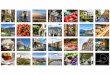 about me - lensidesigns.com€¦ · On a recent campaign I accompanied a travel agent, L’Esperta (Ashley Turney) to Italy for 2 ... Lidia Zitara, Houzz Italia Contributor, giornalista