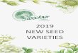 2019 NEW SEED VARIETIES · 2018. 9. 5. · rose pink red white apricot pink red salmon white picotee white yellow yellow-red picotee BEGONIA SUN DANCER CORN By Goldsmith By Pan American